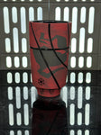 Darth Maul Tumbler 002